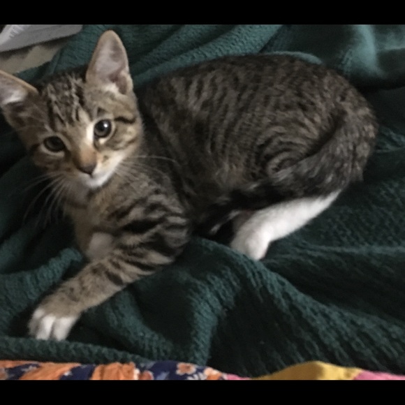 Meet your Posher, Susan - Picture 2 of 3